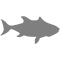 Innertemperatur fisk.